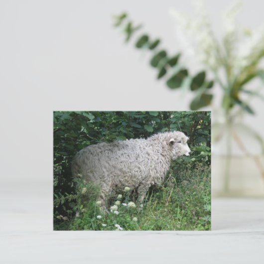 Cute Greedy Sheep Eating Briefkaart (Staand voorkant)