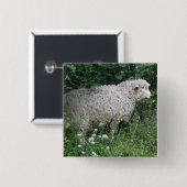 Cute Greedy Sheep Eating Button (Voorkant /achterkant)