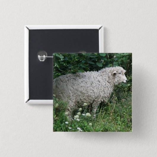 Cute Greedy Sheep Eating Button (Voorkant /achterkant)