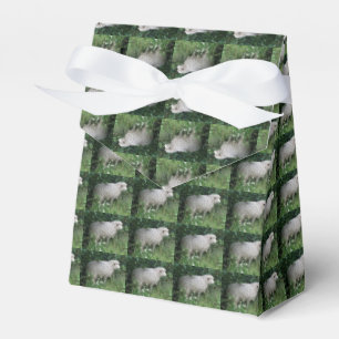 Cute Greedy Sheep Eating Favor Box Bedankdoosjes