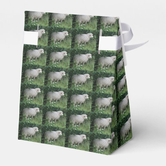 Cute Greedy Sheep Eating Favor Box Bedankdoosjes (Achterkant)