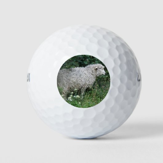 Cute Greedy Sheep Eating Golf Ball Golfballen (Voorkant)