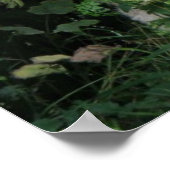 Cute Greedy Sheep Eating Print (Hoek)