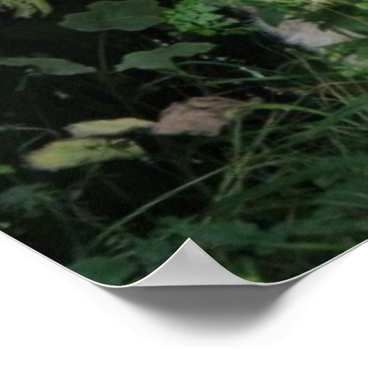 Cute Greedy Sheep Eating Print (Hoek)