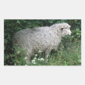 Cute Greedy Sheep Eating Sticker (Voorkant)