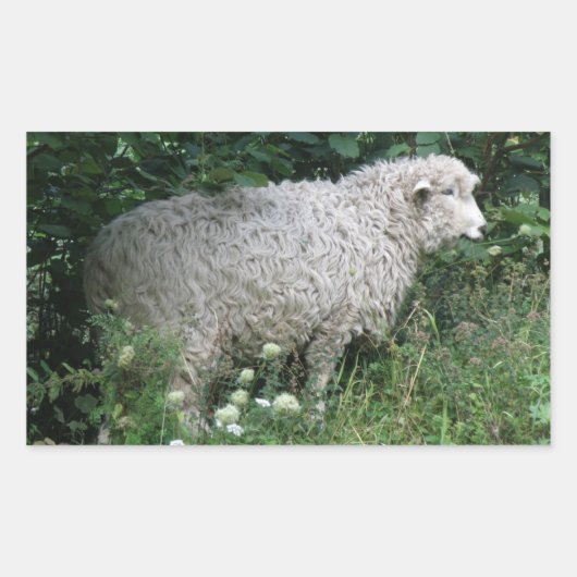 Cute Greedy Sheep Eating Sticker (Voorkant)