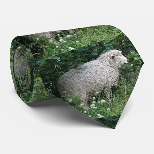 Cute Greedy Sheep Eating Stropdas (Opgerold)