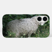 Cute Greedy Sheep iPhone Case (Achterkant (horizontaal))