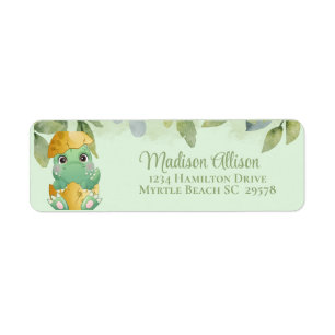 Cute Green Dinosaur Boys Baby shower Etiket