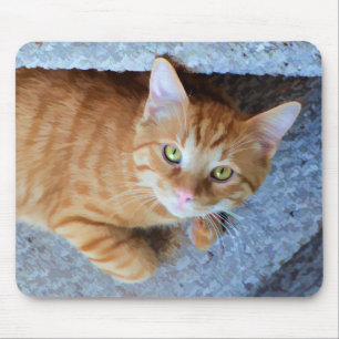 Cute Green Eyes Oranje Tabby Cat Muismat