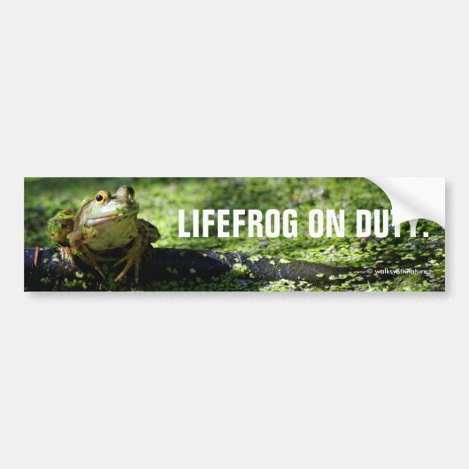 Cute Green Frog slaat een paal op de slang Bumpersticker (Voorkant)