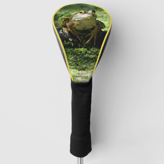 Cute Green Frog slaat een paal op de slang Golfheadcover (Voorkant)
