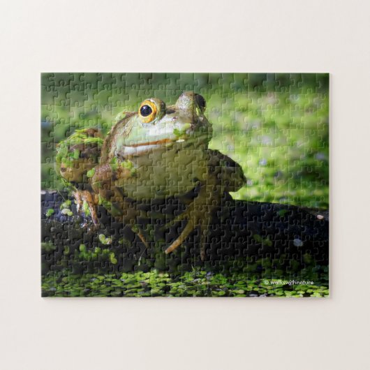 Cute Green Frog slaat een paal op de slang Legpuzzel (Horizontaal)