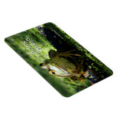 Cute Green Frog slaat een paal op de slang Magneet (Rechterzijde)