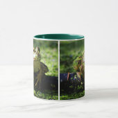 Cute Green Frog slaat een paal op de slang Mok (Midden)
