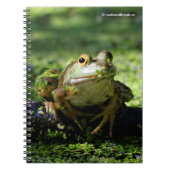 Cute Green Frog slaat een paal op de slang Notitieboek (Voorkant)