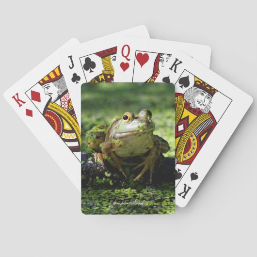 Cute Green Frog slaat een paal op de slang Pokerkaarten (Achterkant)