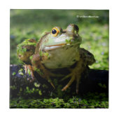 Cute Green Frog slaat een paal op de slang Tegeltje (Voorkant)