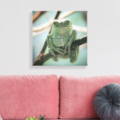 Cute Green Frog Zitting on a Branch Canvas Afdruk (Insitu (Woonkamer))