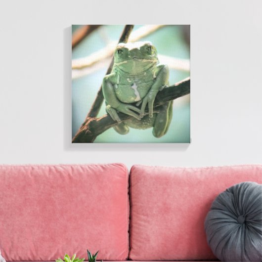 Cute Green Frog Zitting on a Branch Canvas Afdruk (Insitu (Woonkamer))