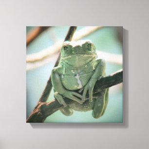 Cute Green Frog Zitting on a Branch Canvas Afdruk