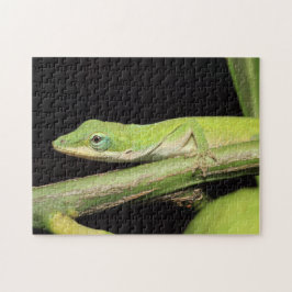 Cute Green Garden Anole Lizard Natuur Wildlife Legpuzzel