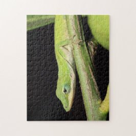 Cute Green Garden Anole Lizard Natuur Wildlife Legpuzzel