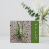 Cute Green Grasshopper Close HALLO Briefkaart (Staand voorkant)