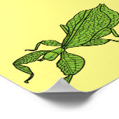 Cute green leaf insect cartoon poster (Hoek)