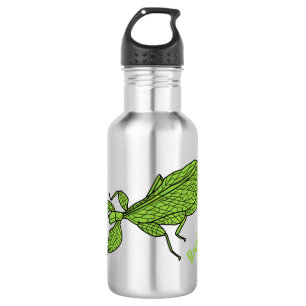Cute green leaf insect cartoon waterfles 