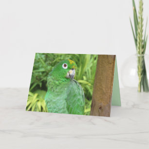 Cute Green Parrot Wenskaart Feestdagen Kaart