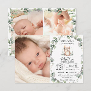 Cute Greenery Owl New Baby Boy Foto Collage Birth Aankondiging