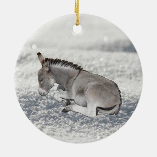 Cute Grey Baby Donkey Foal in sneeuw Keramisch Ornament (Achterkant)