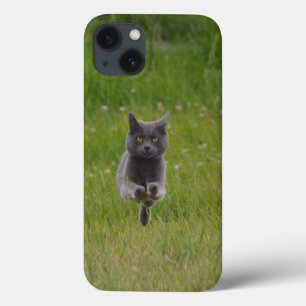 Cute Grey Boerderij Cat Racing Over Green Grass Fo iPhone 13 Hoesje