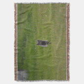 Cute Grey Boerderij Cat Racing Over Green Grass Fo Deken (Voorkant Verticaal)