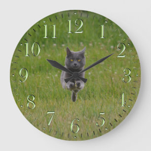 Cute Grey Boerderij Cat Racing Over Green Grass Fo Grote Klok
