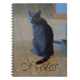 Cute Grey Boerderij Sitting in Ranch Kitchen Notitieboek