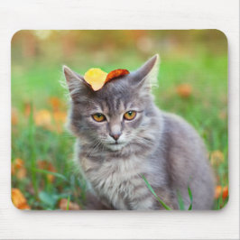 Cute Grey Kat met Leaf op Head Muismat