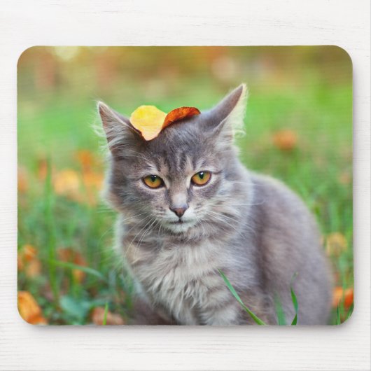 Cute Grey Kat met Leaf op Head Muismat (Voorkant)