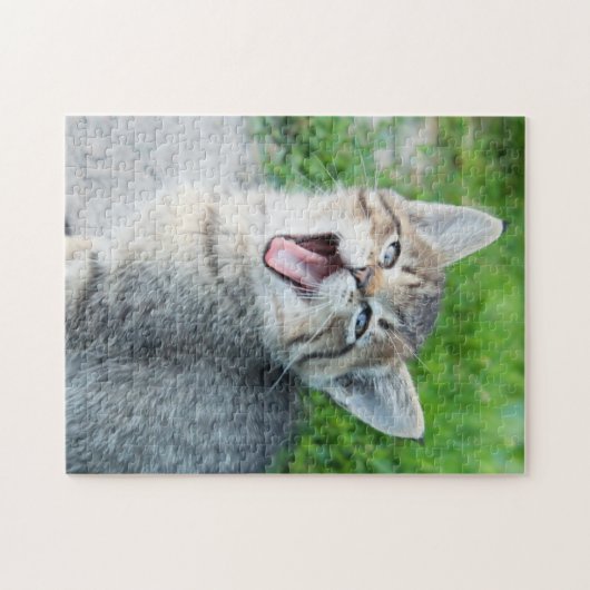 Cute Grey Kitten Yawning Legpuzzel (Horizontaal)