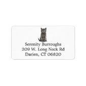 Cute Grey Kitty Cat Lover Grey Kitten Etiket (Voorkant)