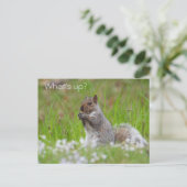 Cute Grey Squirrel - WAT IS ER? Briefkaart (Staand voorkant)