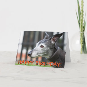 Cute greyhound greetings card kaart