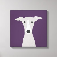 Cute Greyhound (Italiaanse Greyhound) of Whippet D
