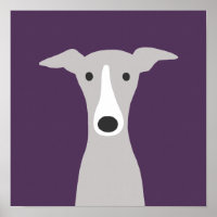 Cute Greyhound (Italiaanse Greyhound) of Whippet D
