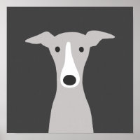 Cute Greyhound (Italiaanse Greyhound) of Whippet D