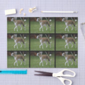 Cute Greyhound Tissuepapier (Craft)