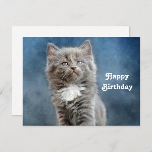 Cute Grijs en Witte Kitten Foto Verjaardag Briefkaart (Voorkant / Achterkant)