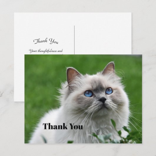 Cute Grijs Kitten Blauwe Ogen Foto Bedankt Briefkaart (Voorkant / Achterkant)