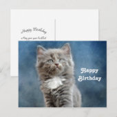 Cute grijze en witte kattenfoto verjaardag briefkaart (Voorkant / Achterkant)